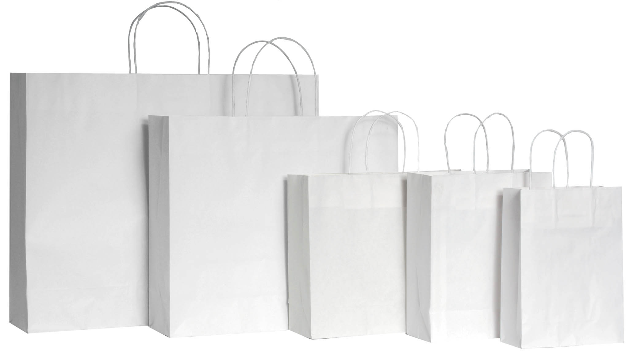 Bolsas De Filtro De Papel Para Aspirador AR Blue Clean - Pack De 5 Unidades, 35 Litros De Capacidad